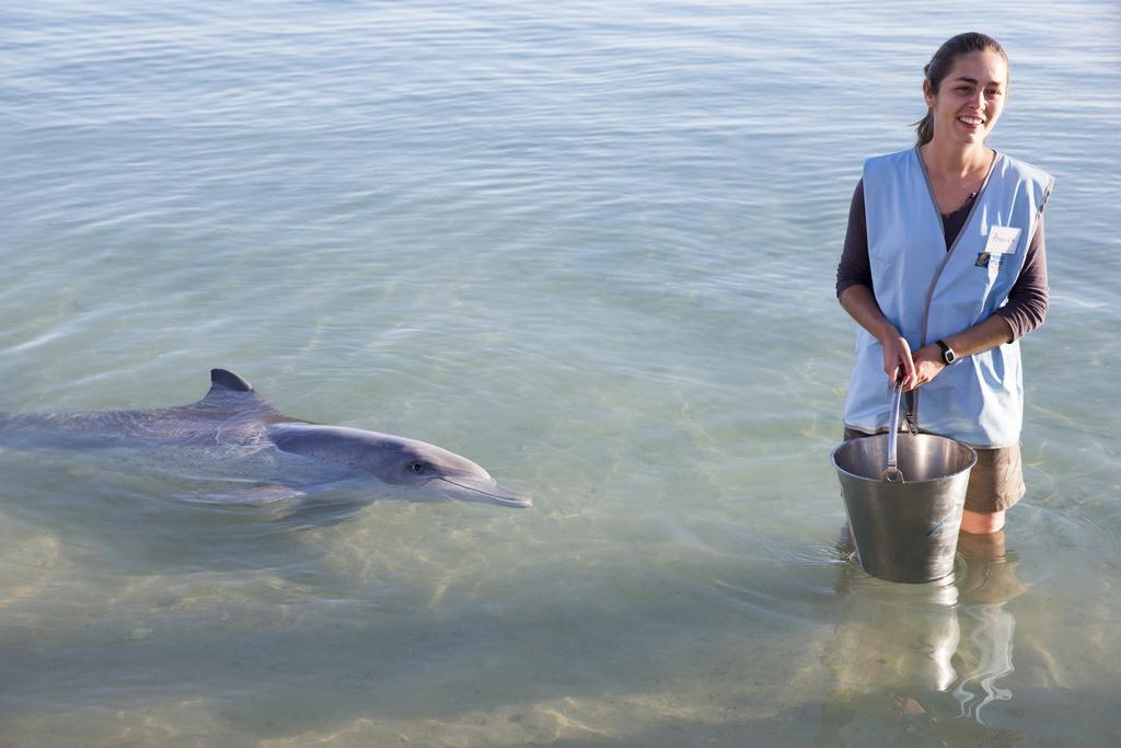 Rac Monkey Mia Dolphin Resort Dış mekan fotoğraf