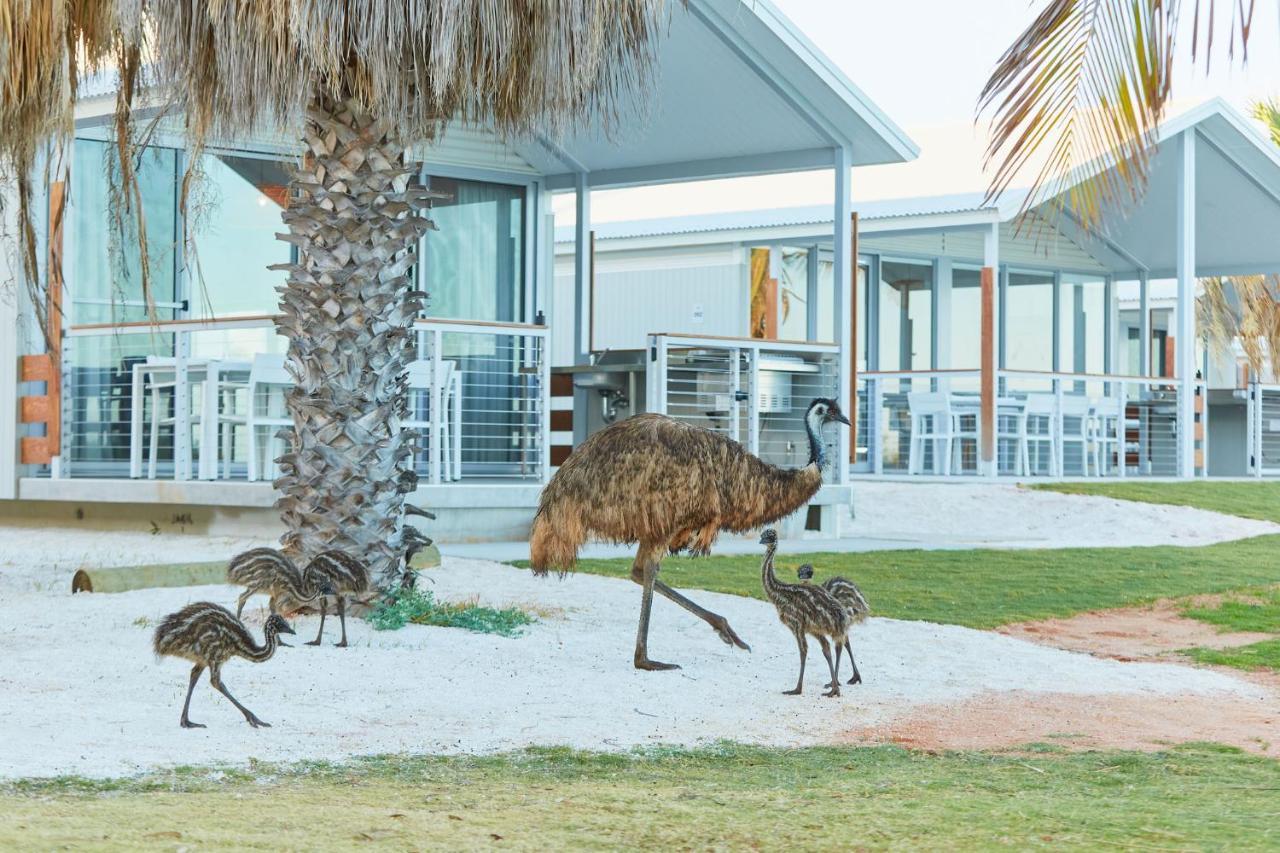 Rac Monkey Mia Dolphin Resort Dış mekan fotoğraf