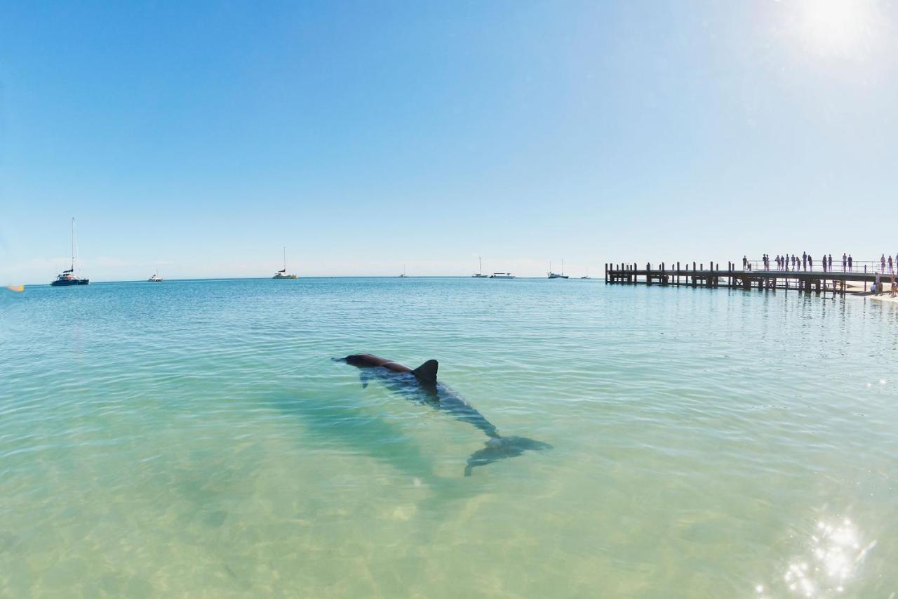 Rac Monkey Mia Dolphin Resort Dış mekan fotoğraf
