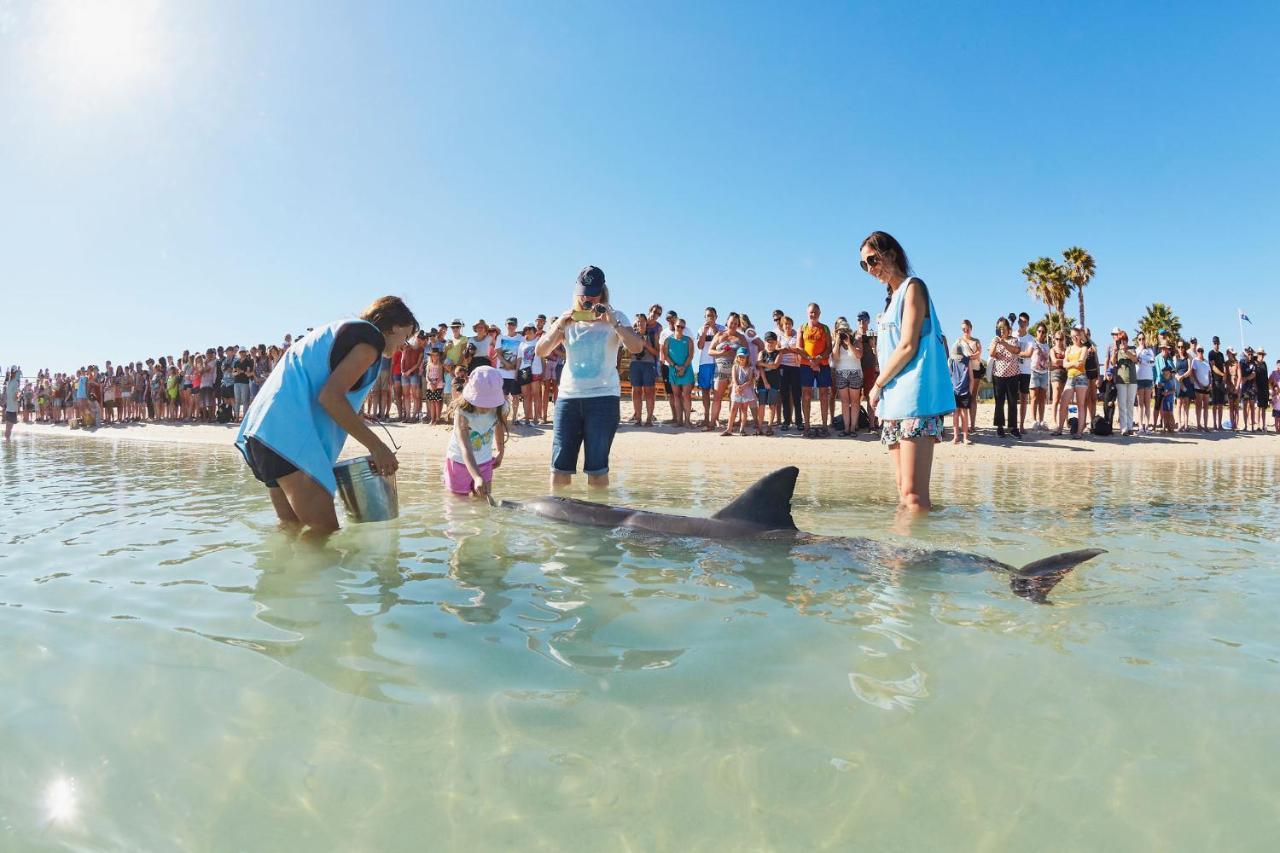 Rac Monkey Mia Dolphin Resort Dış mekan fotoğraf